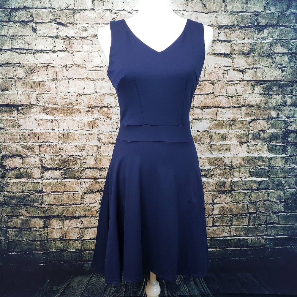 Heloise Fashion Skater Dress